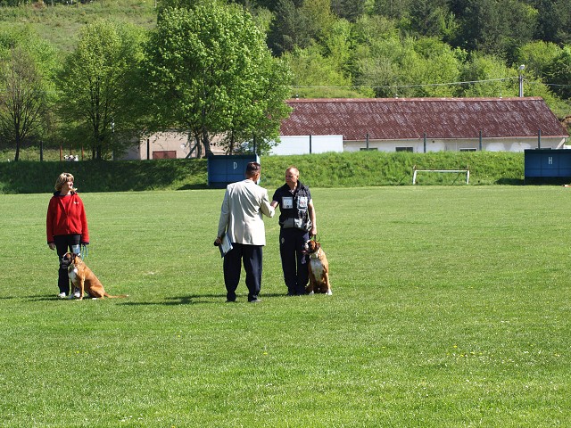 www.atibox.net * www.euroboxer.eu * www.boxergenealogia.eu